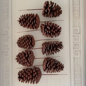 8 Extra Large Natural Pinecones